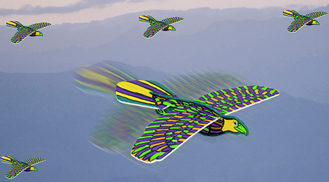 DIY Foam Bird Glider