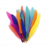 Quill Feathers 