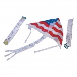 CYO American Flag Kites 