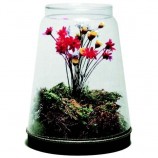DIY Dried Flower Terrarium