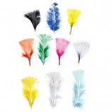 Turkey Feathers - Rainbow  