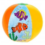 Color Your Own Fish Beach Balls